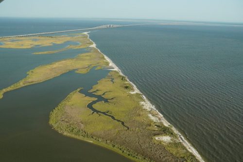 DSC03647- Little Dauphin Island