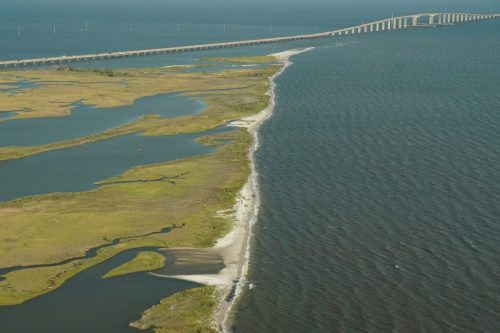 DSC03648- Little Dauphin Island