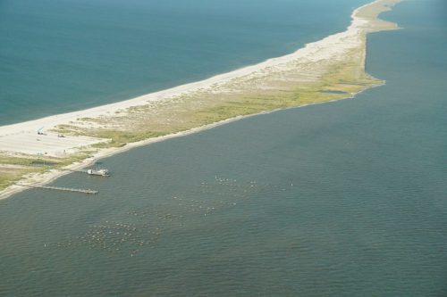 DSC03656- Oyster Farm at Dauphin Island
