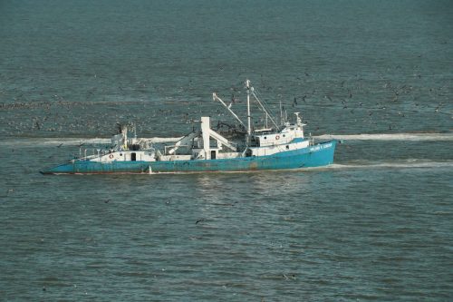 DSC03680- Menhaden boat