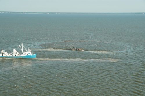DSC03682- Purse seine
