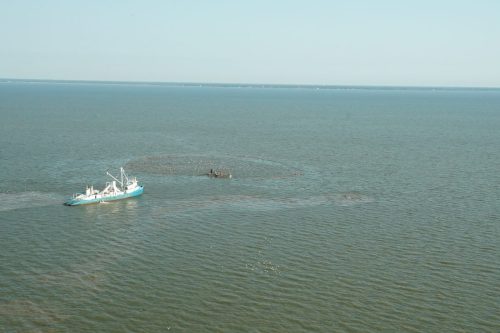 DSC03684- Menhaden boat