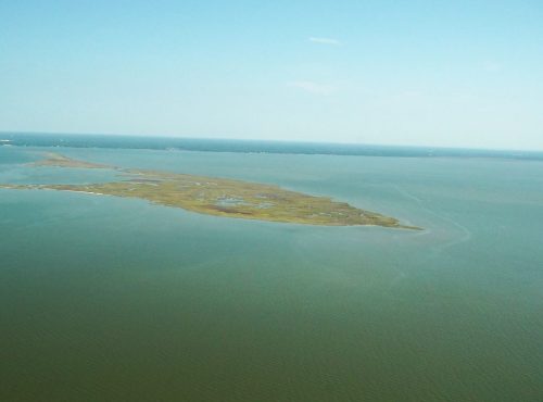 DSC03696- Coffee Island