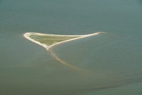 DSC03706- Cat Island Alabama