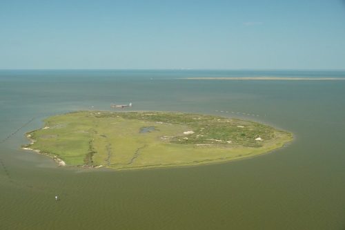 DSC03708- Marsh Island