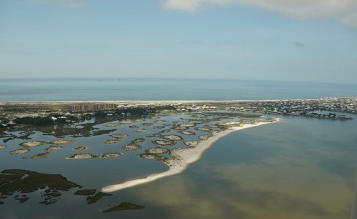 DSC03322- Dauphin Island airport marsh restoration