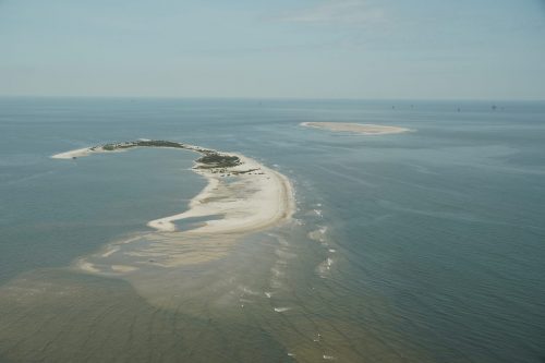 DSC03328 - Pelican Island