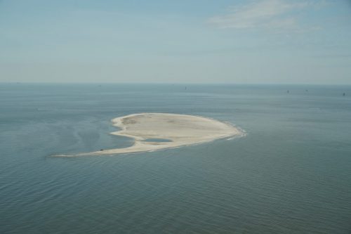 DSC03329 - Pelican Island east