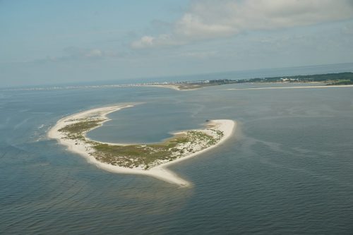 DSC03331 - Pelican Island