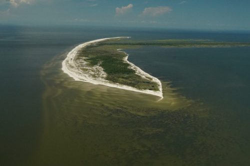 DSC02194- Cat Island MS