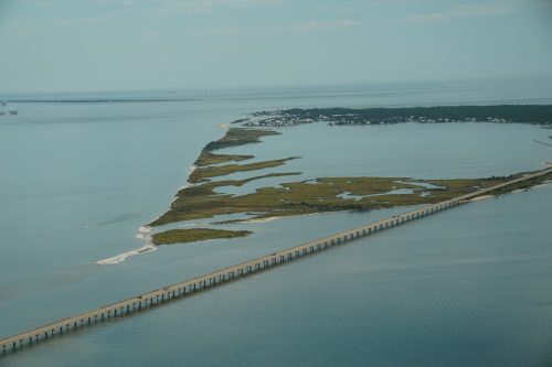 DSC02420- Little Dauphin Island