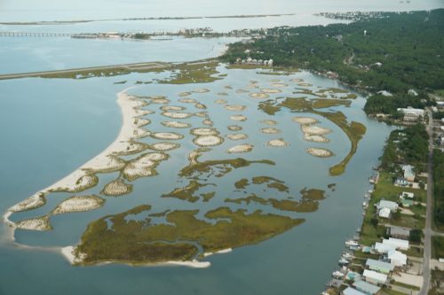 DSC02424- DI Airport marsh restoration