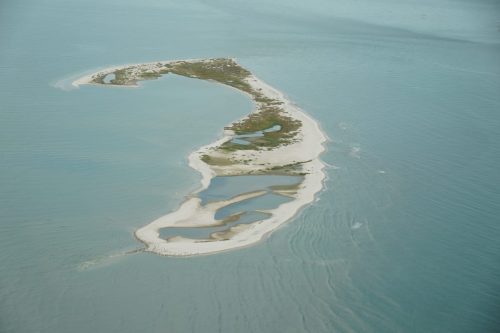 DSC02429- Pelican Island