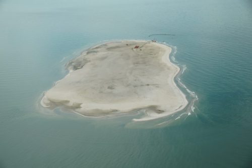 DSC02433- New Pelican Island East