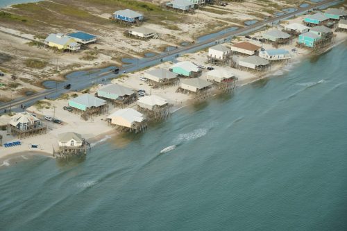 DSC02447- Dauphin Island