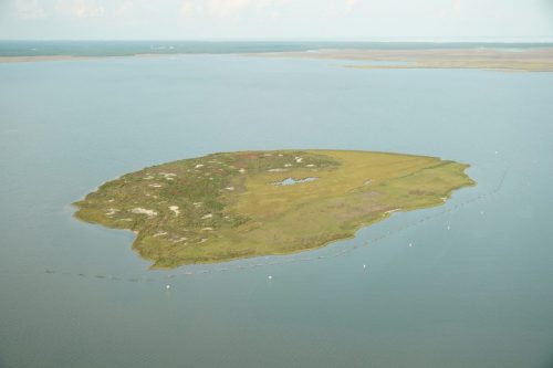 DSC02457- Marsh Island
