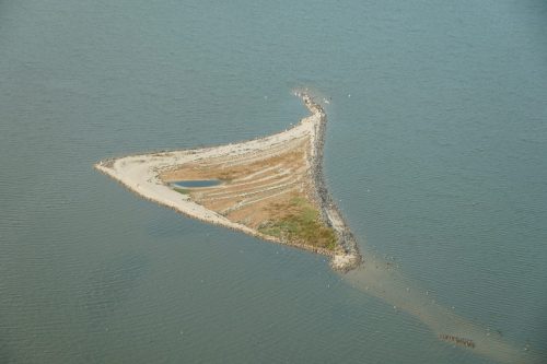 DSC02461- Cat Island Alabama