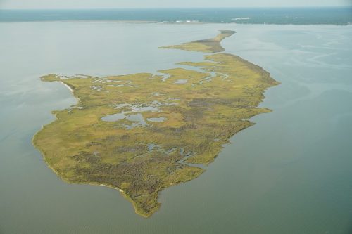 DSC02467- Coffee Island