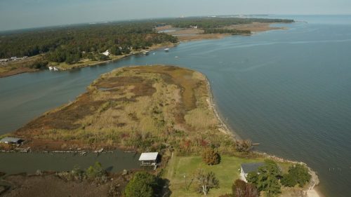 DSC02542- Mon Luis Spit Restoration on Fowl River