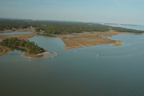DSC02543- Salt Air Shoreline Restoration