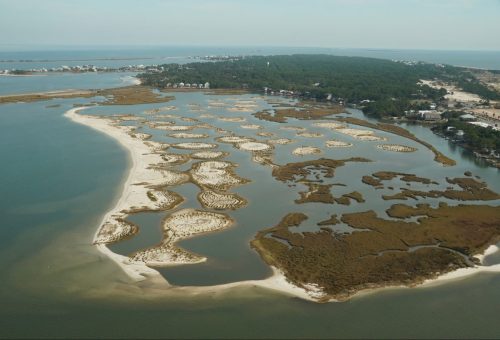 DSC02576- Dauphin Island Airport Marsh Restoration