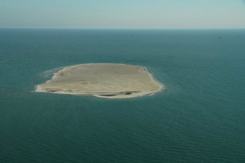 DSC02585- Pelican Island East