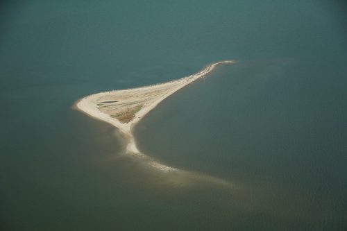 DSC02603- Cat Island Alabama