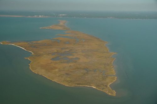 DSC02608- Coffee Island