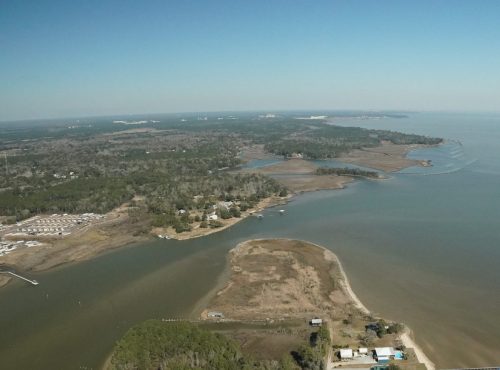 DSC02630- Mon Louis Point and Salt Air Shoreline Restoration PRojects