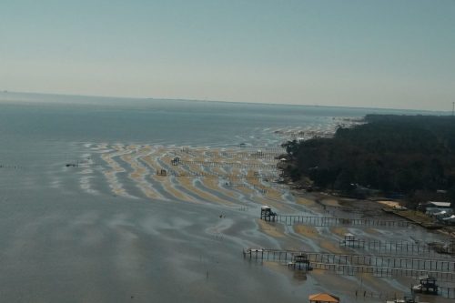 DSC02636- Very low tide on Mobile Bay western shoreline
