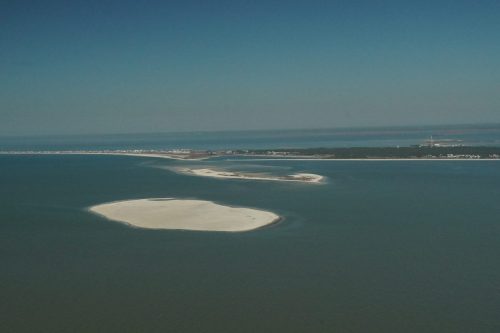 DSC02663- New East Pelican Island