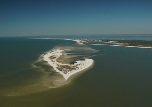 DSC02668- Pelican Island