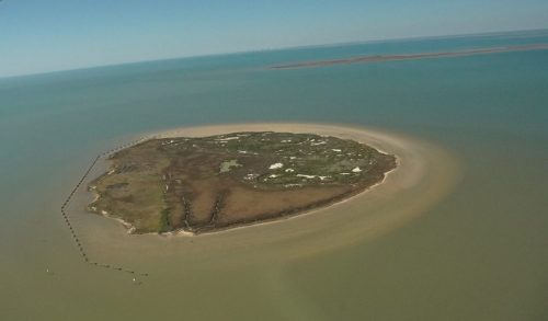 DSC02681- Marsh Island restoration in Portersville Bay