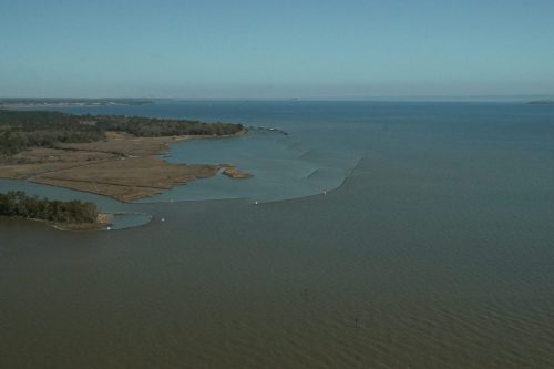 DSC02717- Salt air Shoreline Restoration