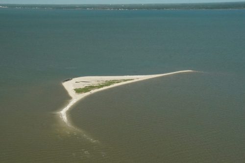 DSC02737- Cat Island Alabama