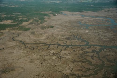 DSC02794- Grand Bay Marsh