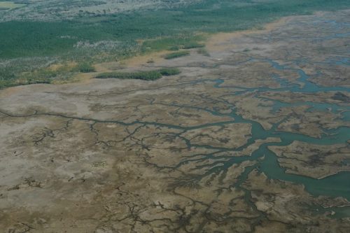 DSC02799- Grand Bay Savanah conservation area