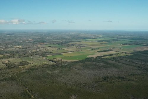 DSC02803- Grand Bay Conservation land