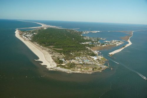 DSC02805- Dauphin Island