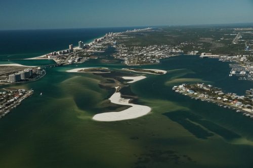 DSC02818- The Nature Conservancy Island Restoration Orange Beach