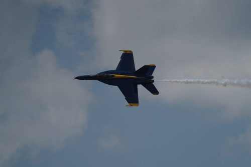 DSC03350