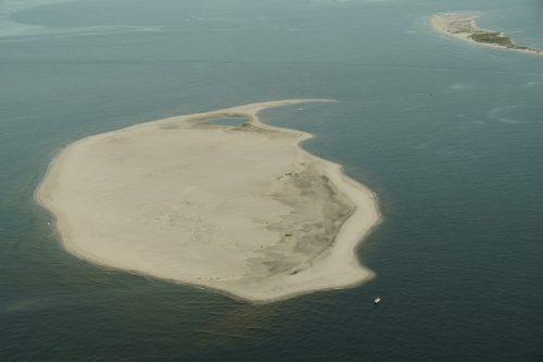 DSC03448- New Pelican Island east