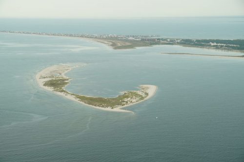 DSC03450- Pelican Island