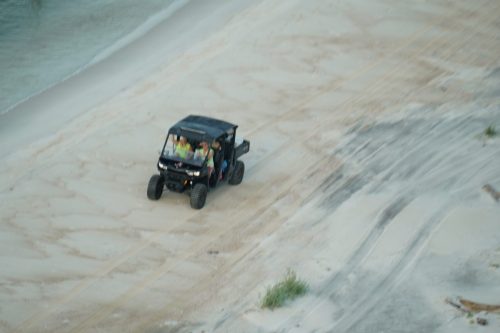 DSC03465- Alabama Coastal Foundation turtle patrol