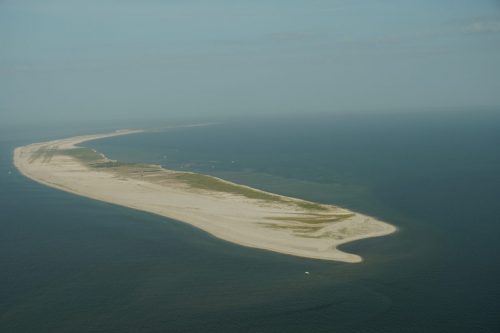 DSC03494