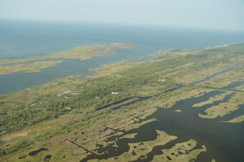 DSC03511- Cat Island