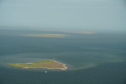 DSC03513- Biloxi Marsh