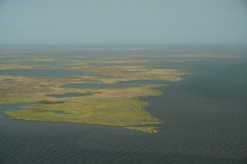 DSC03517- Biloxi Marsh