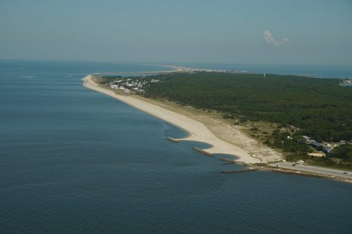 DSC03540