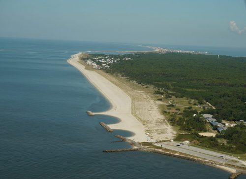 DSC03541
